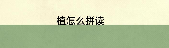 植怎么拼读