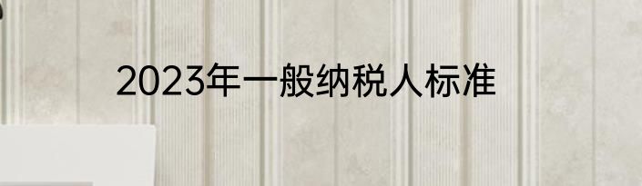 2023年一般纳税人标准