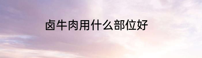 卤牛肉用什么部位好
