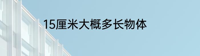 15厘米大概多长物体