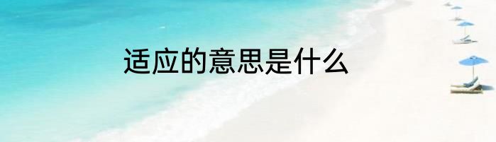 适应的意思是什么
