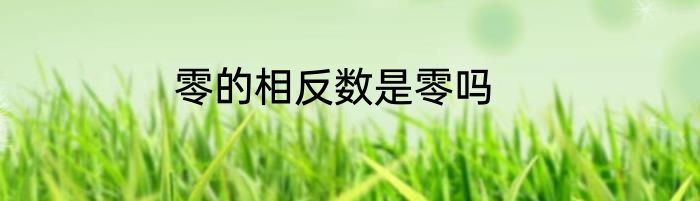 零的相反数是零吗