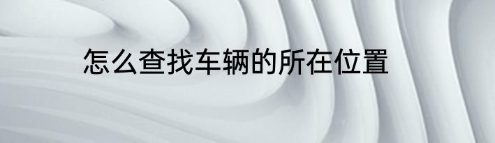 怎么查找车辆的所在位置