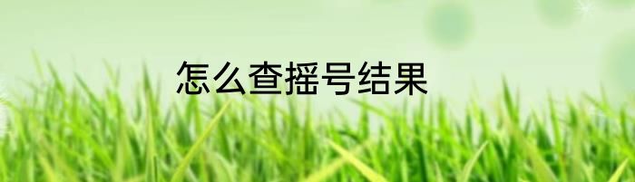怎么查摇号结果