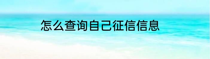 怎么查询自己征信信息