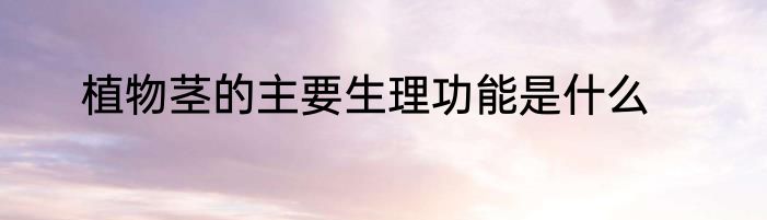 植物茎的主要生理功能是什么
