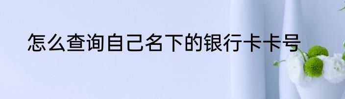怎么查询自己名下的银行卡卡号