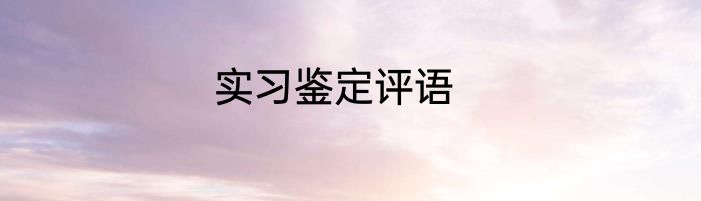 实习鉴定评语