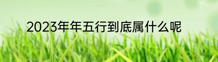 2023年年五行到底属什么呢