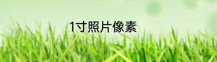 1寸照片像素