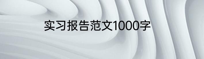 实习报告范文1000字