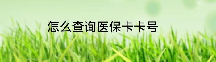 怎么查询医保卡卡号
