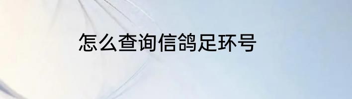 怎么查询信鸽足环号