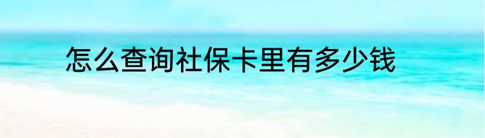 怎么查询社保卡里有多少钱