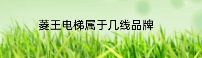 菱王电梯属于几线品牌