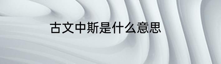 古文中斯是什么意思