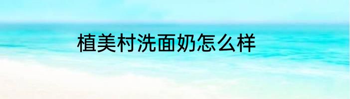 植美村洗面奶怎么样