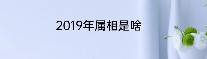 2019年属相是啥
