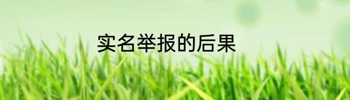 实名举报的后果