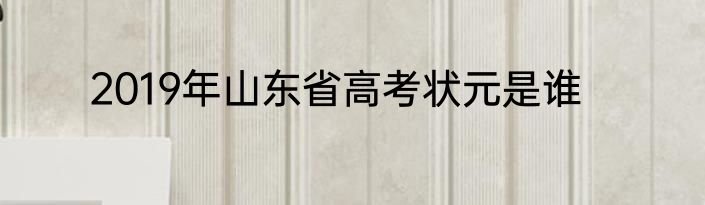 2019年山东省高考状元是谁