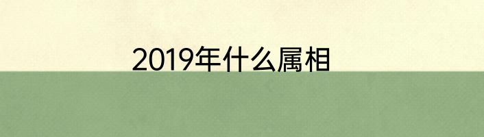 2019年什么属相