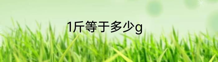 1斤等于多少g