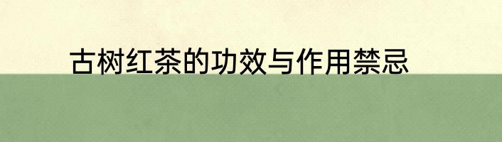 古树红茶的功效与作用禁忌