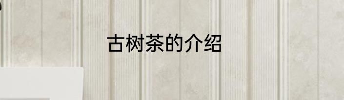 古树茶的介绍