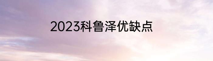 2023科鲁泽优缺点