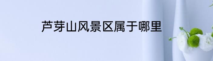 芦芽山风景区属于哪里