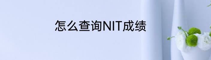 怎么查询NIT成绩