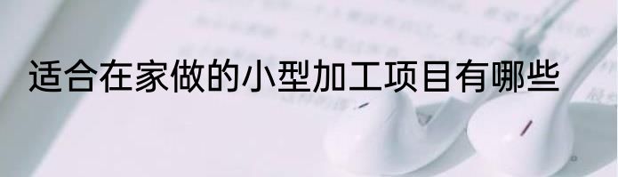 适合在家做的小型加工项目有哪些