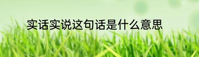 实话实说这句话是什么意思