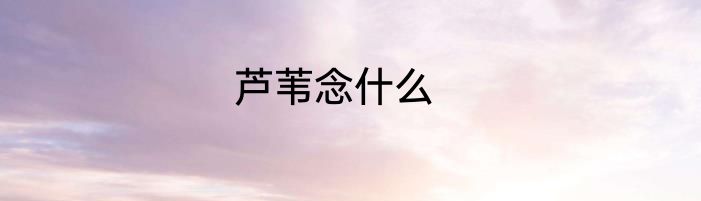 芦苇念什么