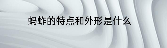 蚂蚱的特点和外形是什么