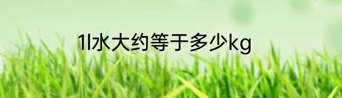 1l水大约等于多少kg
