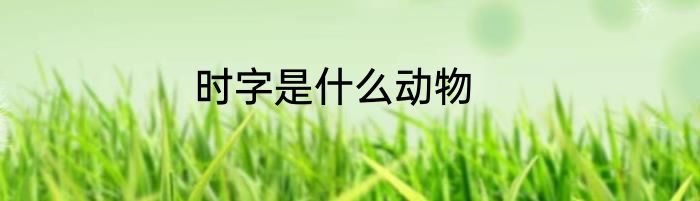 时字是什么动物