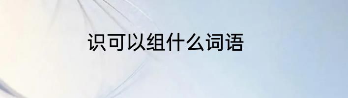 识可以组什么词语
