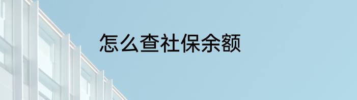 怎么查社保余额