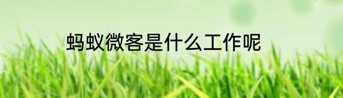 蚂蚁微客是什么工作呢