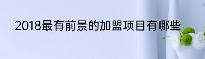 2018最有前景的加盟项目有哪些