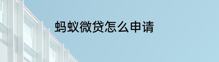 蚂蚁微贷怎么申请