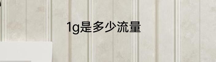 1g是多少流量