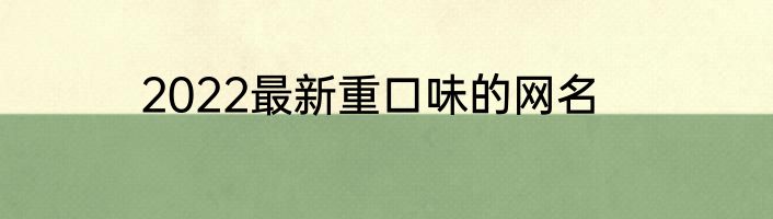 2022最新重口味的网名