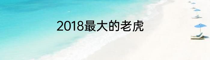 2018最大的老虎