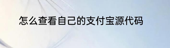 怎么查看自己的支付宝源代码