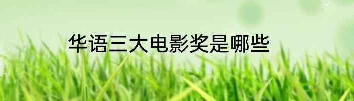 华语三大电影奖是哪些