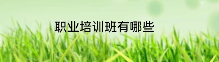 职业培训班有哪些