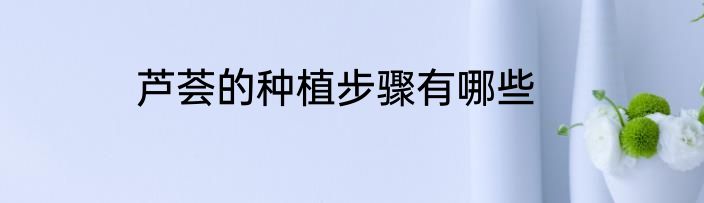 芦荟的种植步骤有哪些