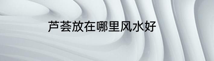 芦荟放在哪里风水好